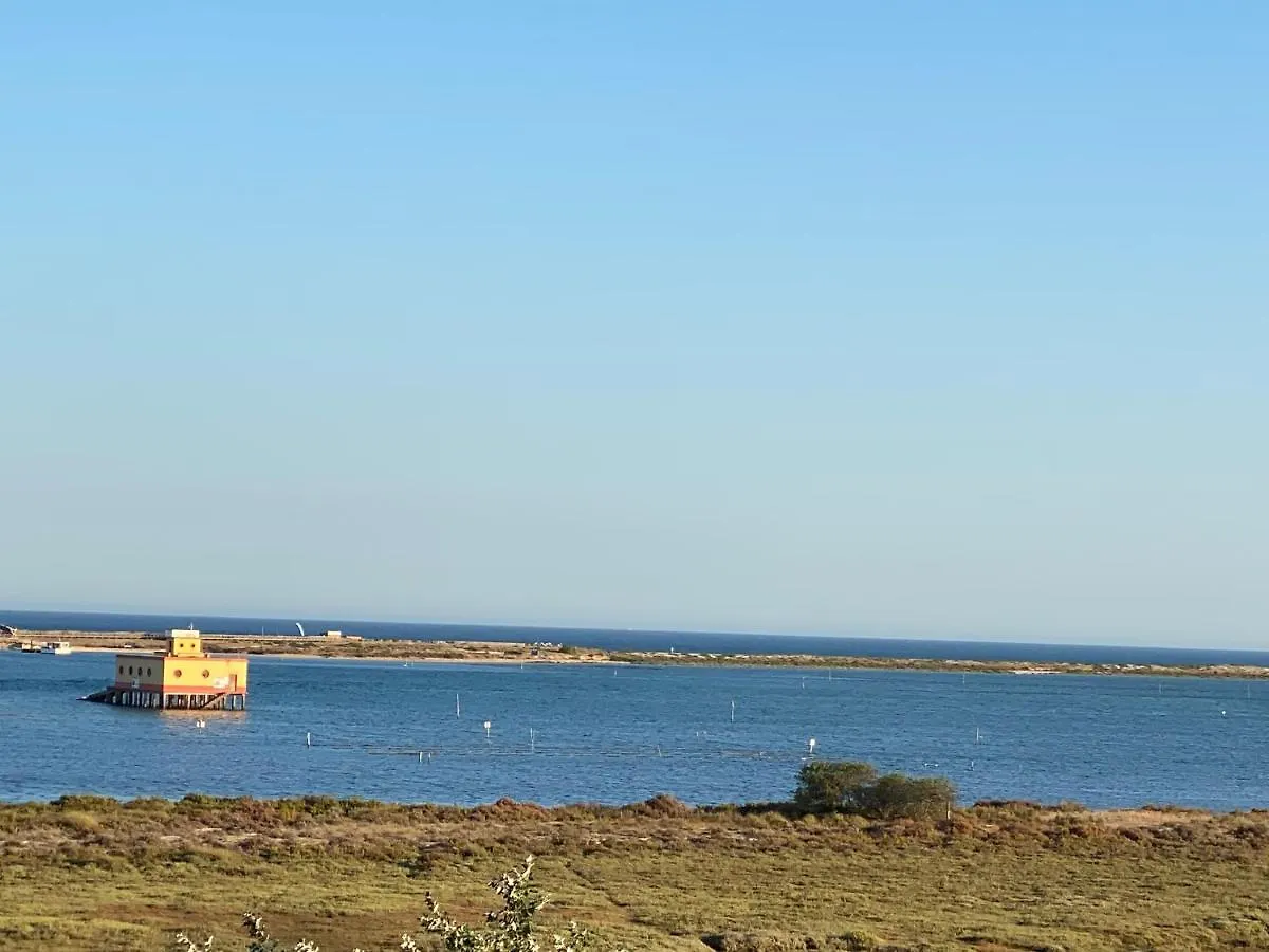 Holiday home Tia Anica House I - Apartment With Terrace In Central Fuseta Beach Village Portugal