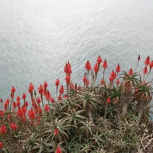 Palma Madeira Wandern Und Tauchen Canico (Madeira)